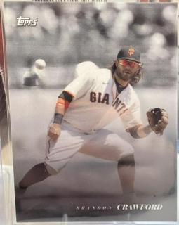Brandon Crawford