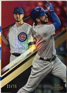 Kris Bryant