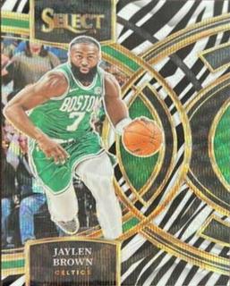 Jaylen Brown