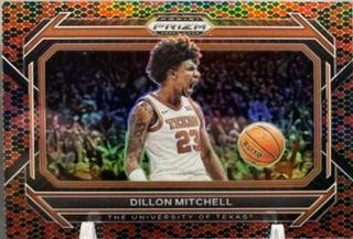 Dillon Mitchell