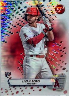 Livan Soto