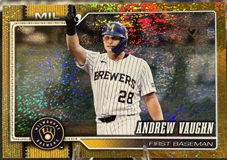 Andrew Vaughn