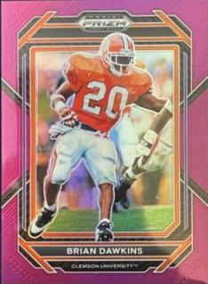 Brian Dawkins