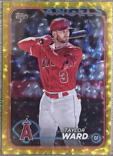 Taylor Ward