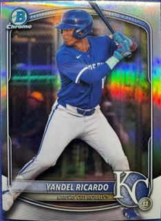 Yandel Ricardo