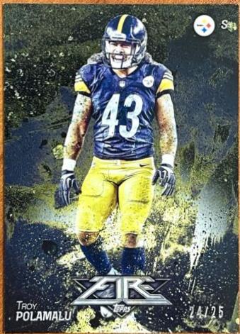 Troy Polamalu [Onyx] #76