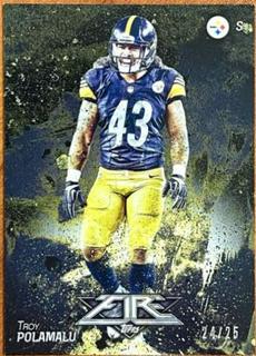 Troy Polamalu