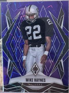 Mike Haynes
