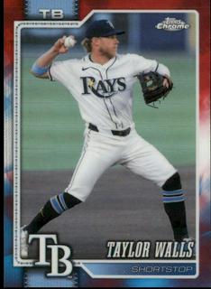 Taylor Walls
