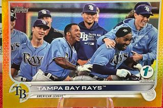 Tampa Bay Rays