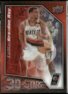 Brandon Roy