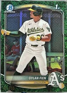 Dylan Fien
