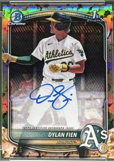 Dylan Fien
