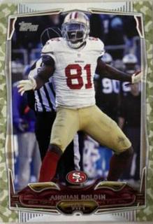 Anquan Boldin