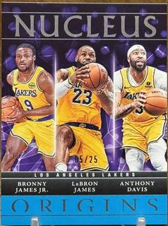 LeBron James / Bronny James Jr. / Anthony Davis