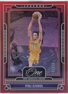 Pau Gasol