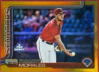 Yohandy Morales