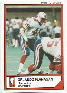 Orlando Flanagan