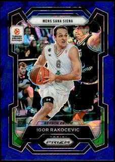 Igor Rakocevic