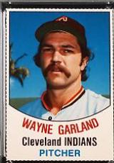 Wayne Garland