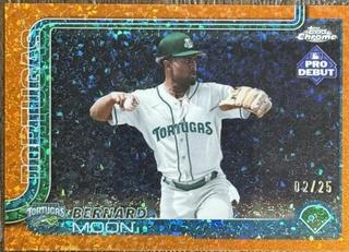 Bernard Moon