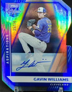 Gavin Williams