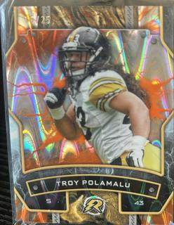 Troy Polamalu