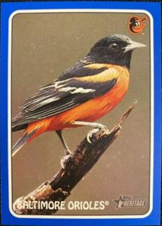 Baltimore Orioles