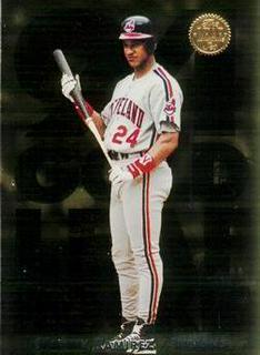 Manny Ramirez