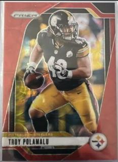 Troy Polamalu