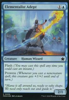 Elementalist Adept