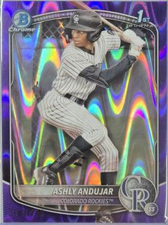 Ashly Andujar