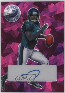 Michael Vick