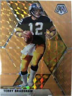 Terry Bradshaw
