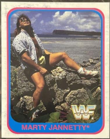 Marty Jannetty #21 Wrestling Cards 1991 Merlin WWF
