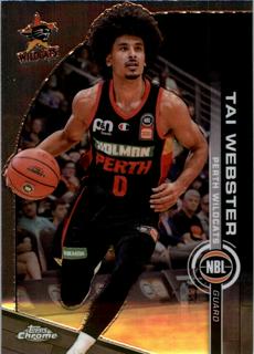 Tai Webster
