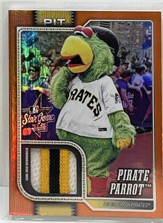 Pirate Parrot