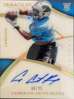 Cameron Artis Payne