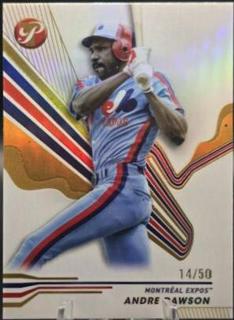Andre Dawson