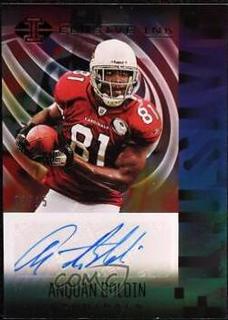 Anquan Boldin