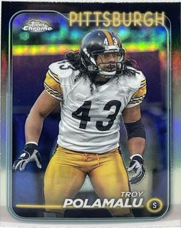 Troy Polamalu