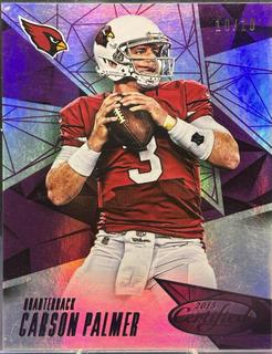 Carson Palmer