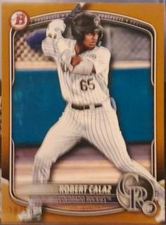 Robert Calaz