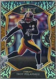 Troy Polamalu