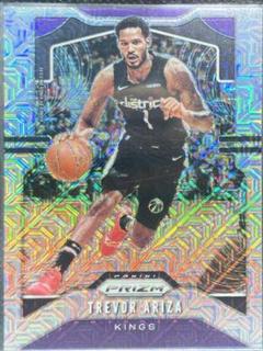 Trevor Ariza