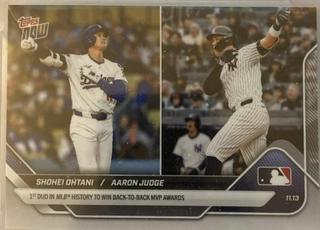 Aaron Judge / Shohei Ohtani