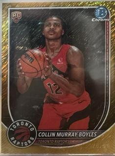 Collin Murray-Boyles