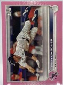Brett Gardner