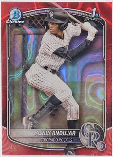Ashly Andujar
