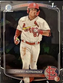 Sammy Hernandez
